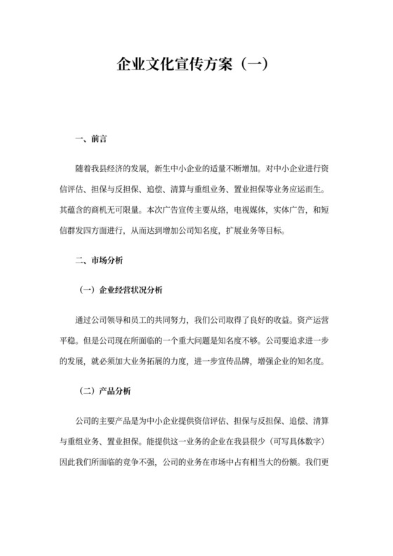 企业文化宣传方案word