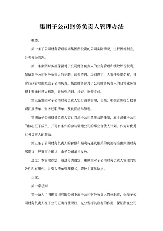 集团公司财务人员管理办法(全)