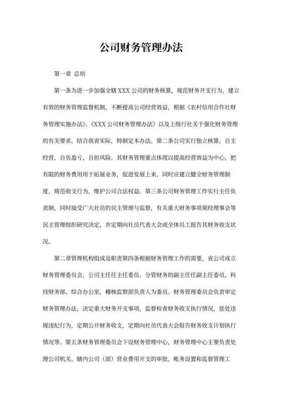 公司财务管理办法~模板