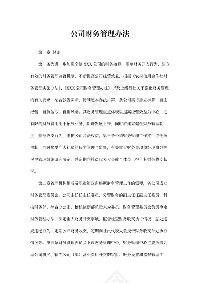 公司财务管理办法~模板