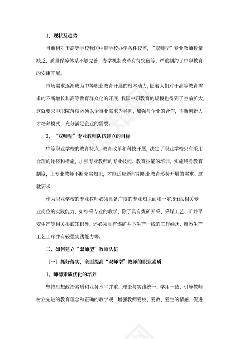 双师型教师队伍建设规划及总结