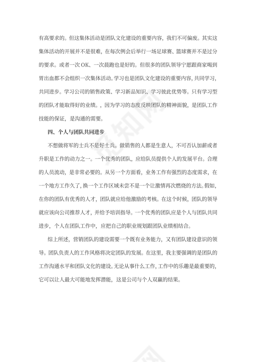 营销团队建设方案图片简约word模板