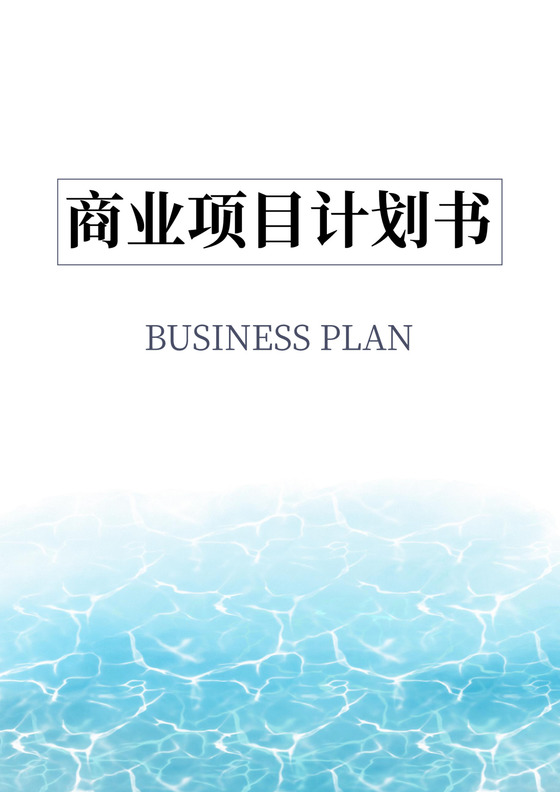 简约商业项目计划书