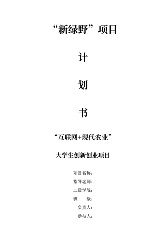 白色简洁创新创业项目计划书创业计划模板