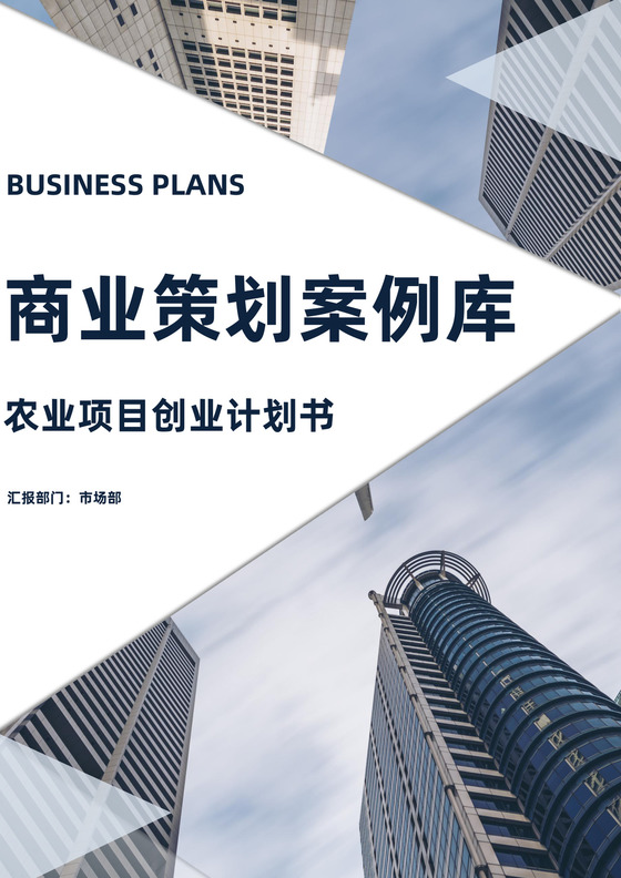 白色商务风创新创业项目计划书商业计划书模板