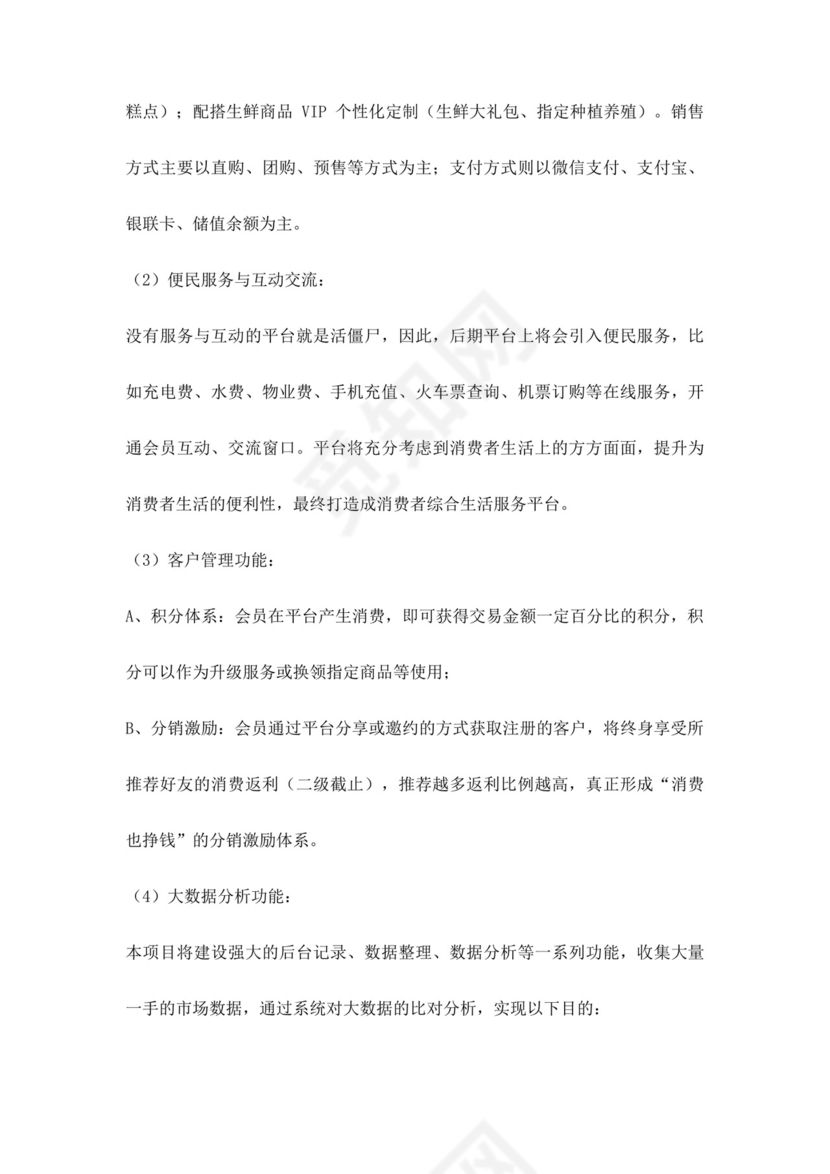 白色简约生鲜项目商业计划书