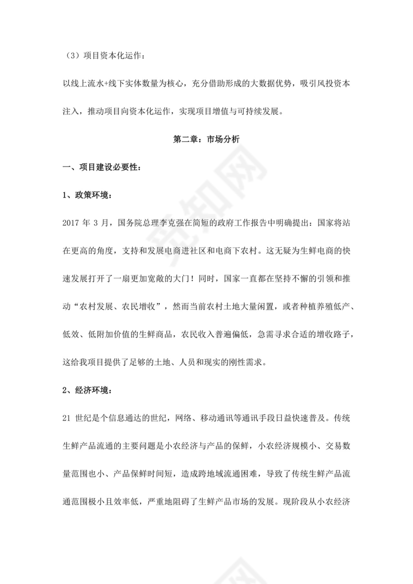 白色简约生鲜项目商业计划书