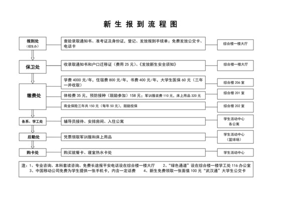 白色简约新生报到流程图学校报到流程图模板