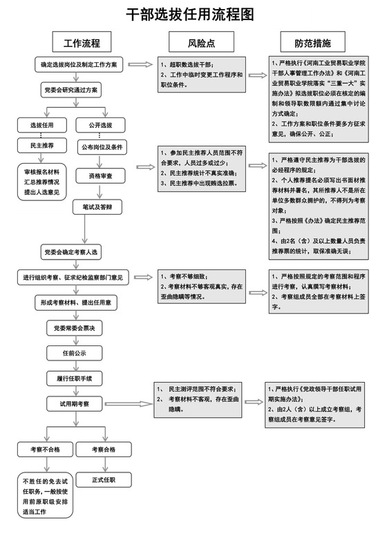 白色简约干部选拔任用流程图单位员工任职流程图模板