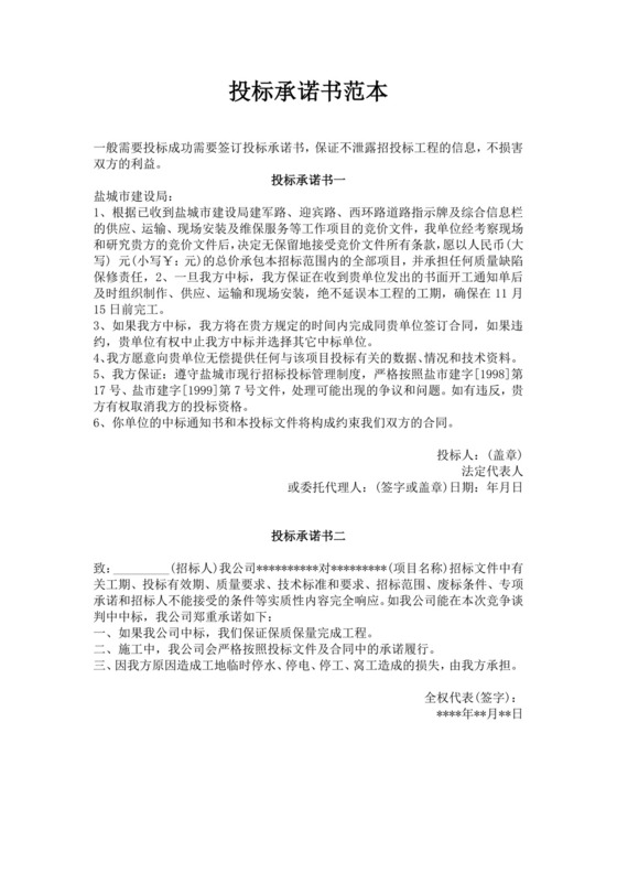 白色简洁投标承诺函公司投标文件模板