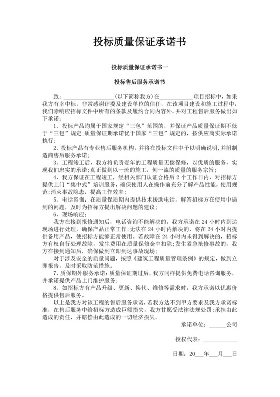 白色简洁投标承诺函公司投标文件模板