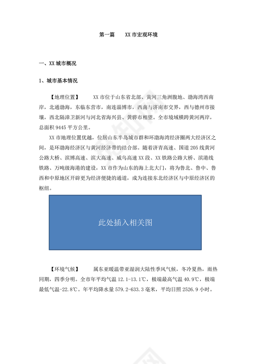 项目前期策划及可行性分析报告