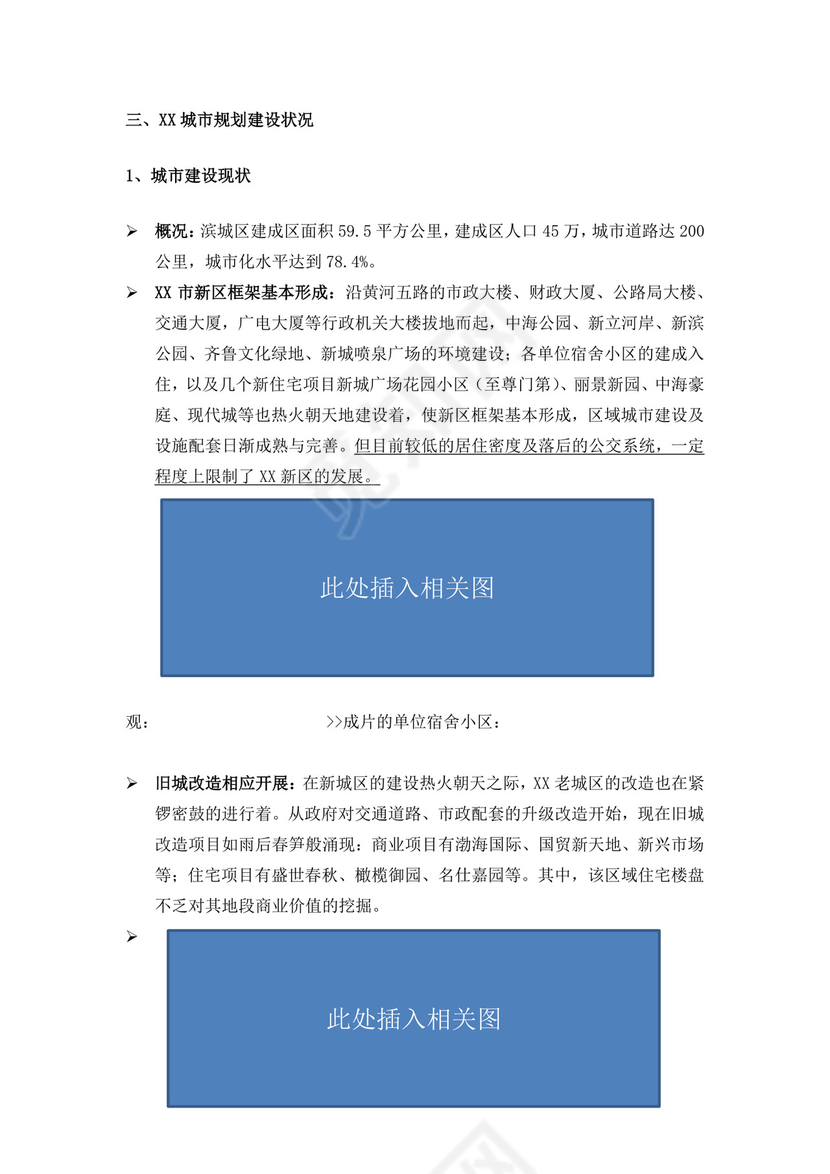 项目前期策划及可行性分析报告