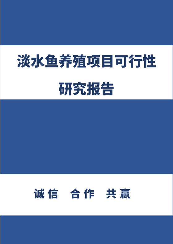 深蓝色简洁项目可行性研究报告工程项目可行性报告模板