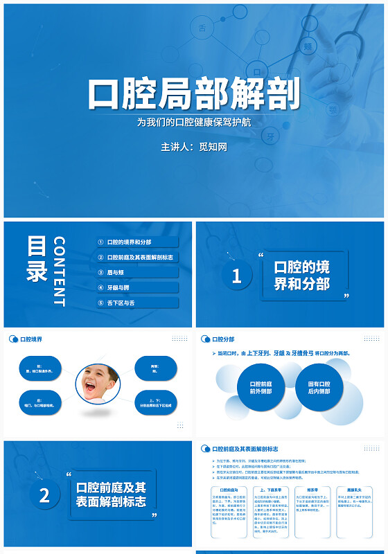 蓝色商务简约大气口腔局部解剖医学知识宣讲PPT模板