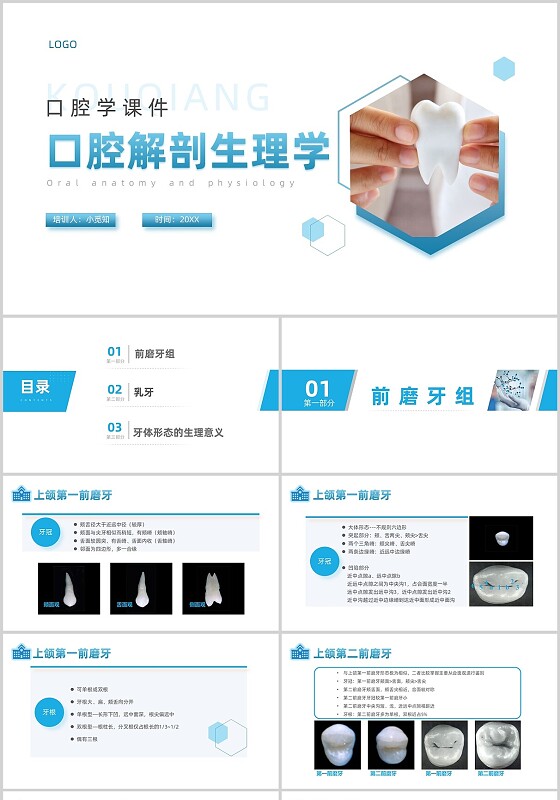 蓝色简约风口腔解剖生理学课件PPT口腔解剖生理学2