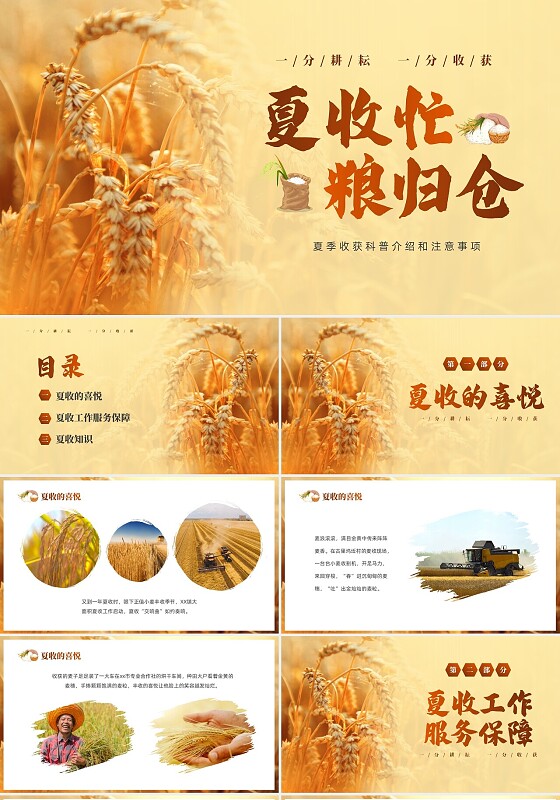 粮食安全黄色粮食简约一分耕耘一分收获夏收忙粮归仓PPT