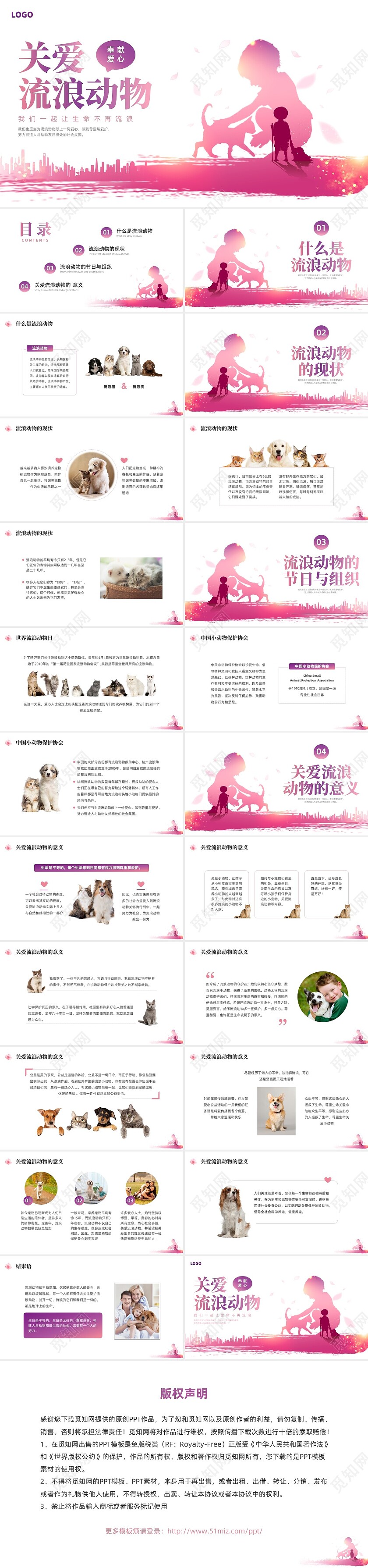 紫红色水彩简约关爱流浪动物宣传教育PPT课件