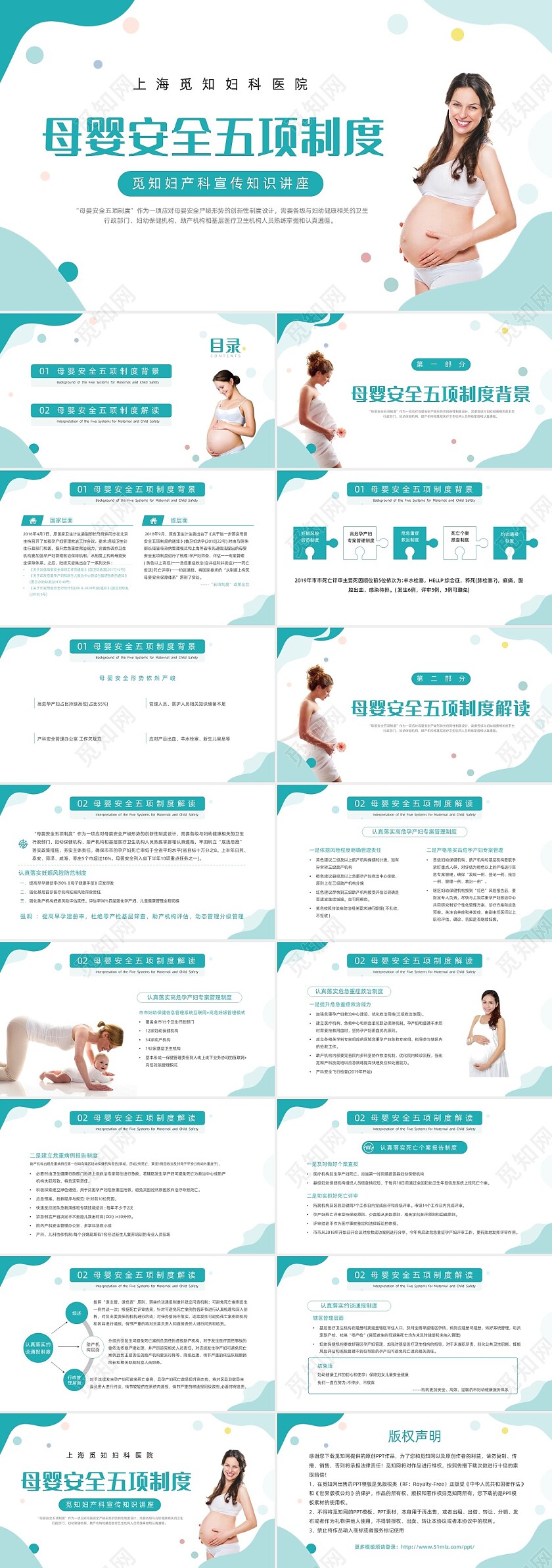 绿色形状流体简约母婴安全五项制度动态PPT