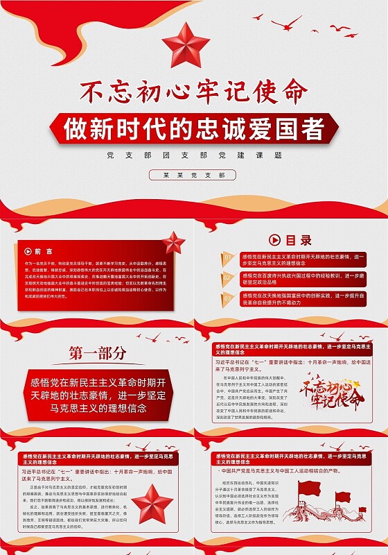 红色简约风做新时代的忠诚爱国者PPT党课