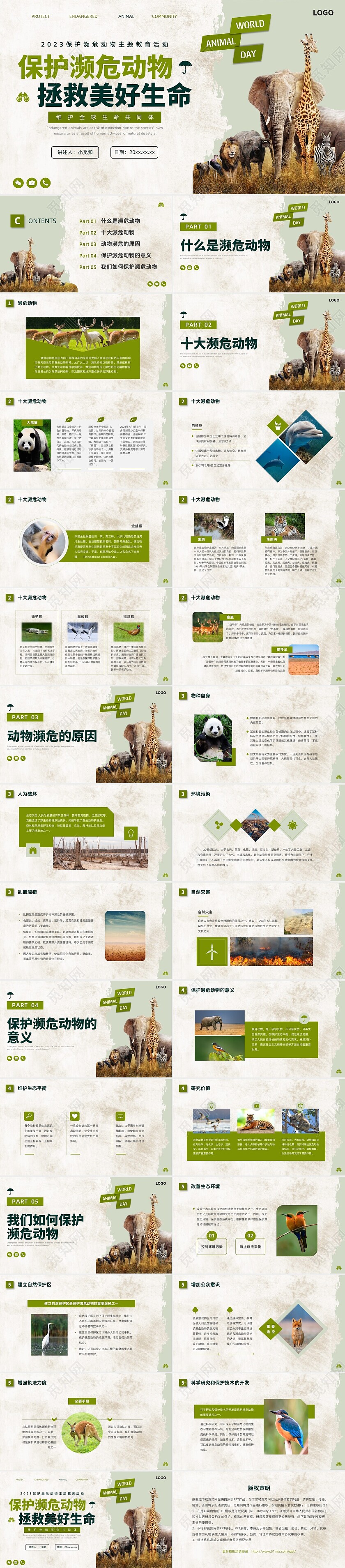 绿色保护濒危动物宣传PPT课件世界动物日