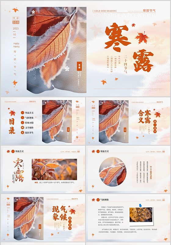 白色淡雅实拍风中国传统节气寒露节气介绍PPT