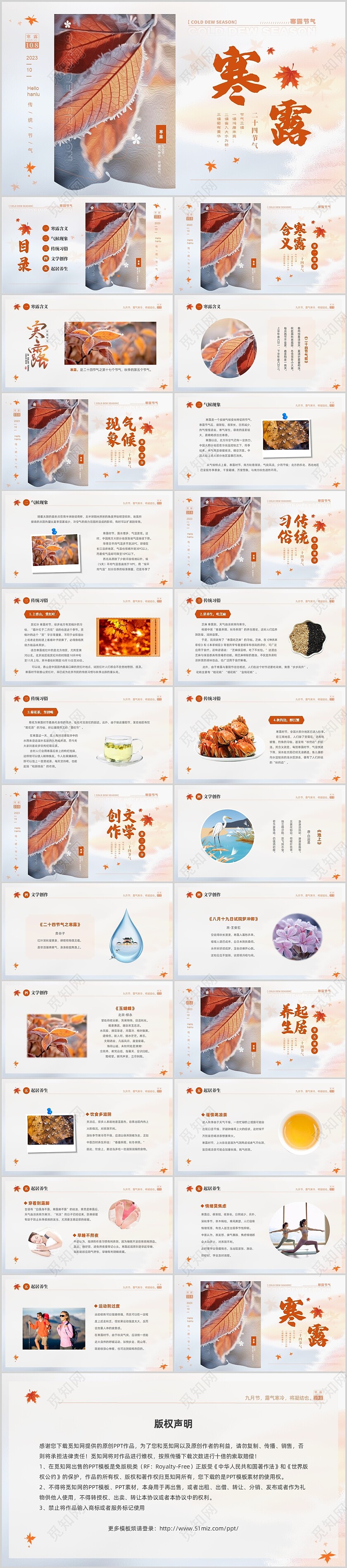 白色淡雅实拍风中国传统节气寒露节气介绍PPT