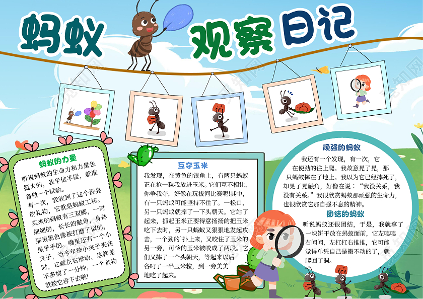 蓝绿色插画蚂蚁观察日记小报手抄报卡通小报手抄报世界动物日