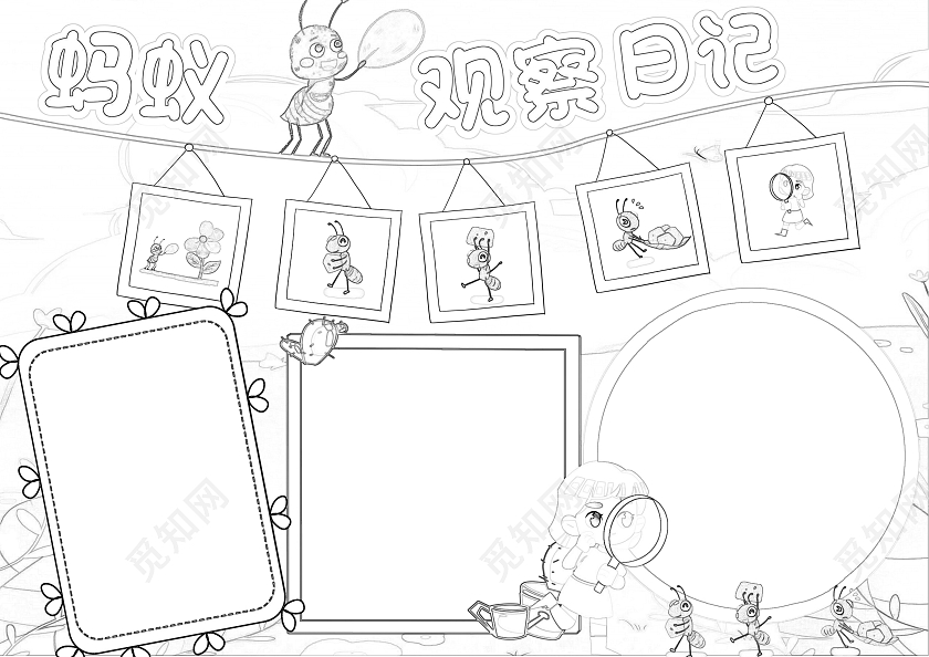 蓝绿色插画蚂蚁观察日记小报手抄报卡通小报手抄报世界动物日