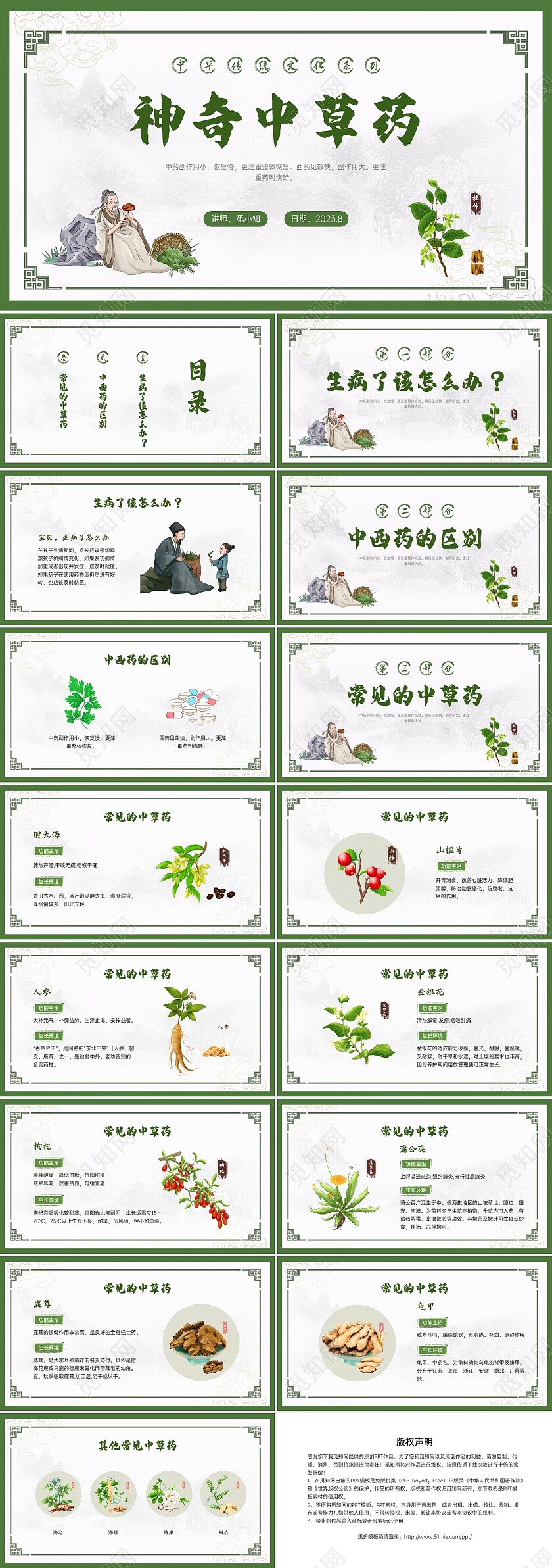 绿色中国风神奇中草药主题班会PPT模板中医药