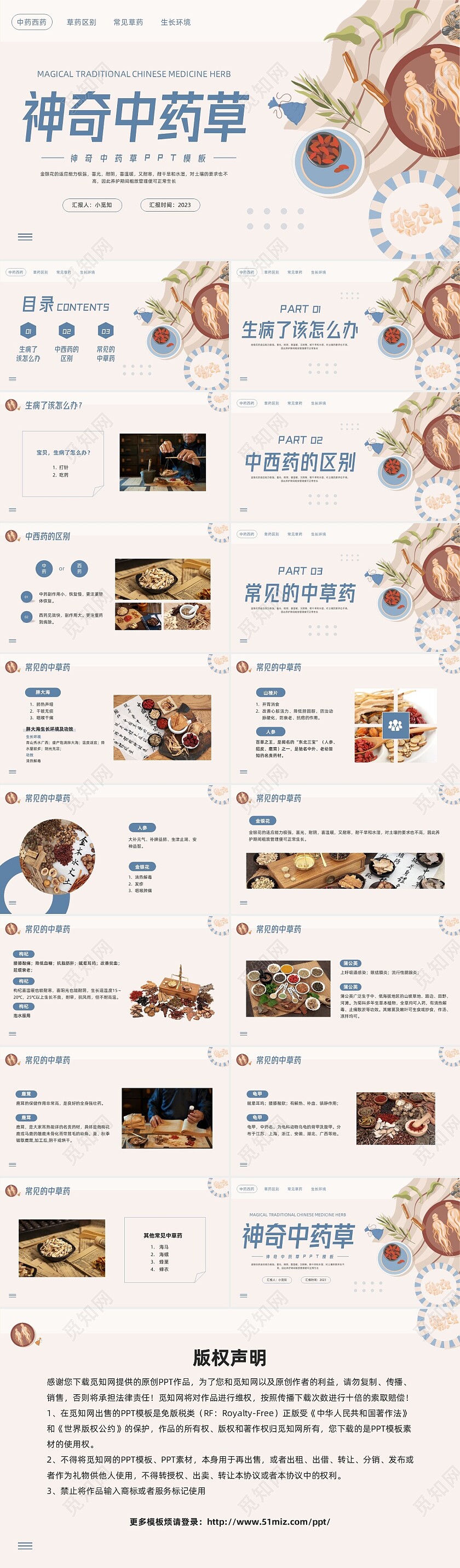 蓝色简约神奇中药草PPT模板宣传PPT动态PPT中医药