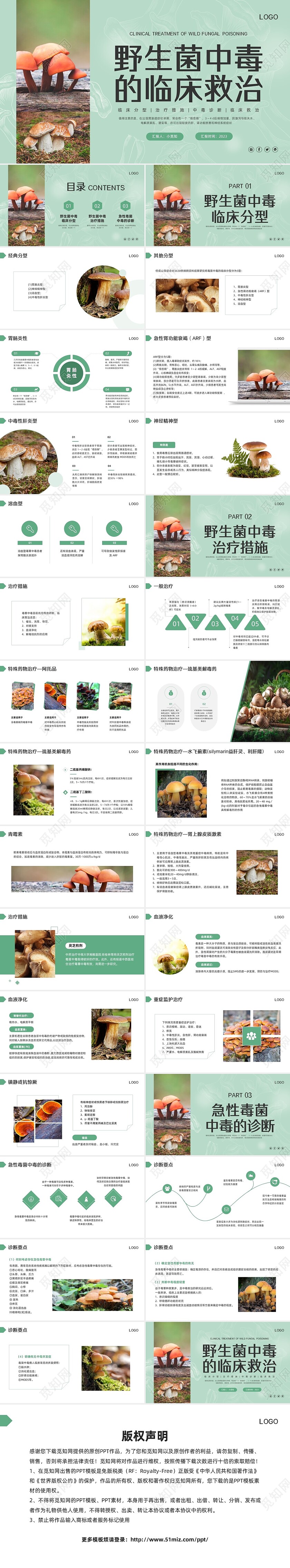绿色简约野生菌中毒的临床救治PPT模板宣传PPT动态PPT食物中毒