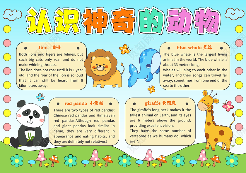 蓝色手绘风认识神奇的动物英语手抄报世界动物日