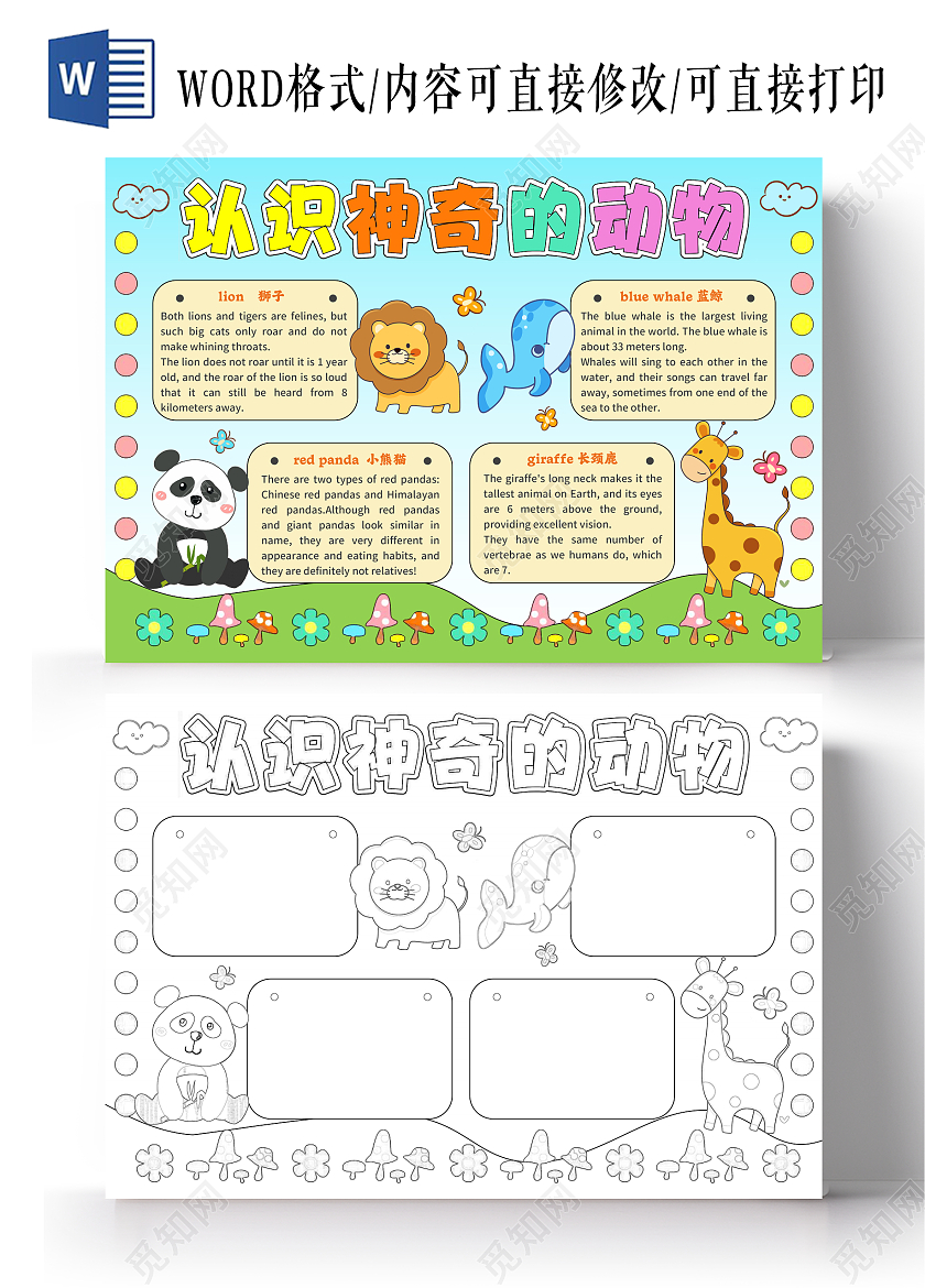 蓝色手绘风认识神奇的动物英语手抄报世界动物日