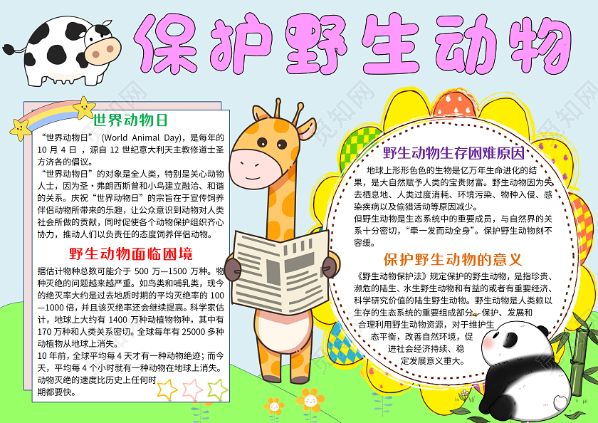 手绘卡通保护野生动物小报手抄报世界动物日