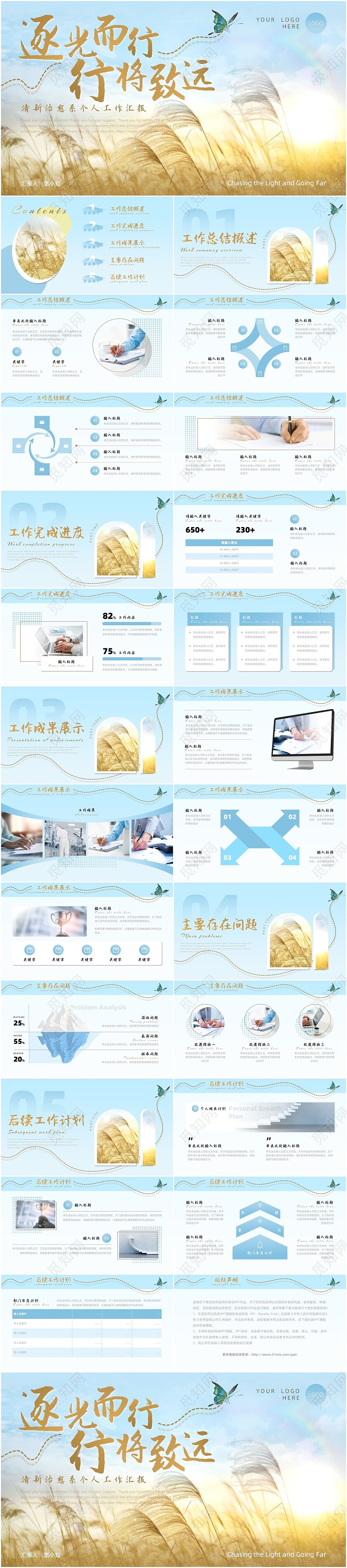 蓝色治愈系励志风芦苇阳光个人工作汇报工作总结