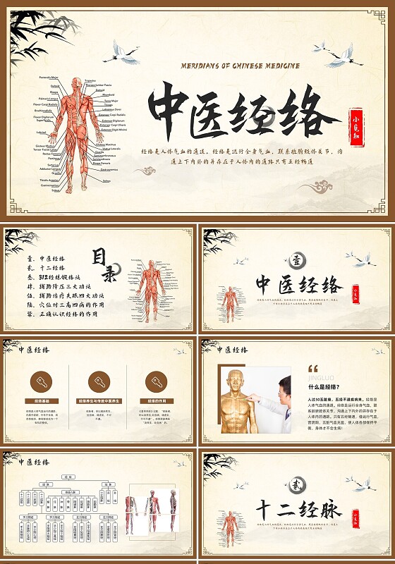 棕色复古中医经络养生PPT模板宣传PPT动态PPT