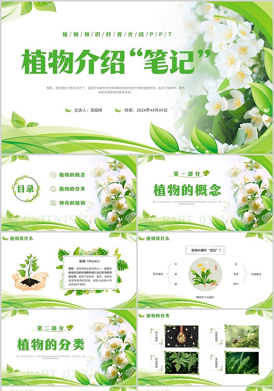 植物介绍简约绿色树叶花卉线条知识科普