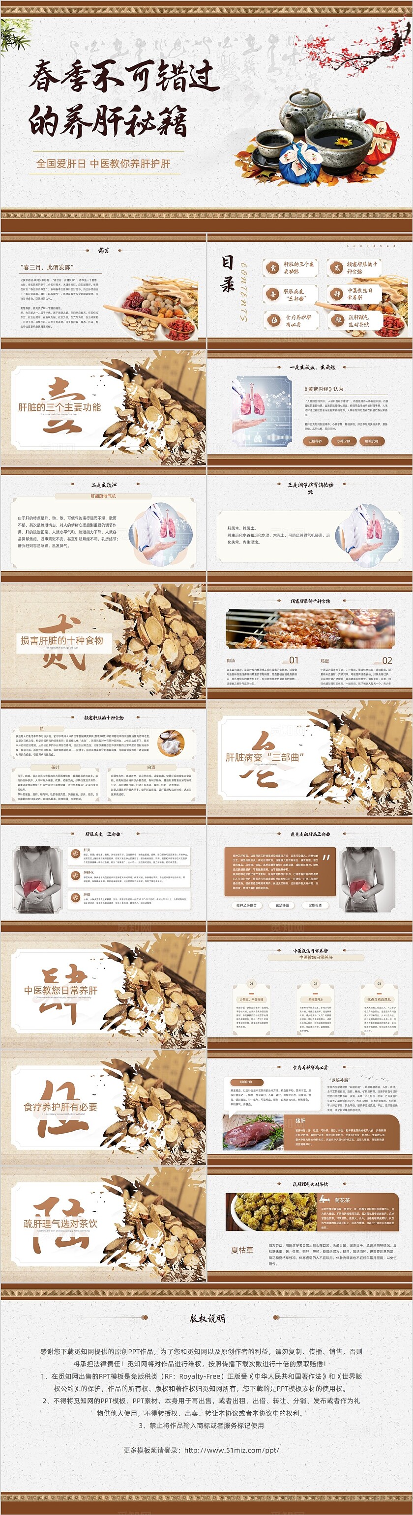 春季养肝的最佳时期全国爱肝日