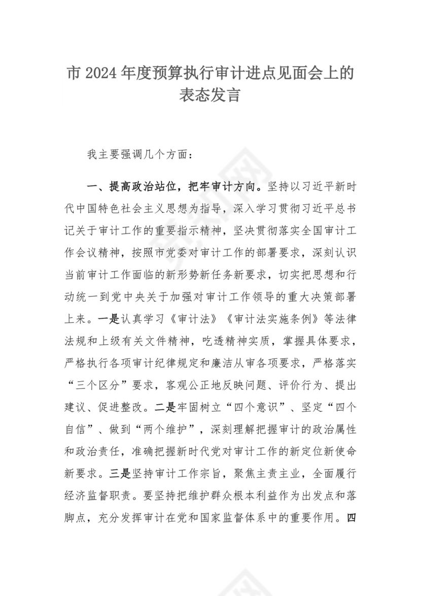 市2024年度预算执行审计进点见面会上的表态发言.docx