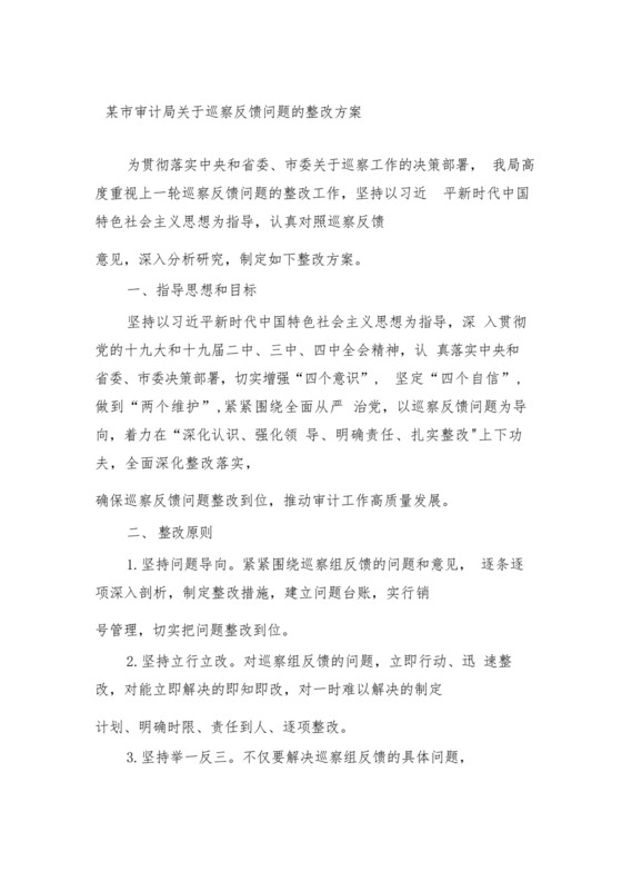 2023年某市审计局关于巡察反馈问题的整改方案.docx