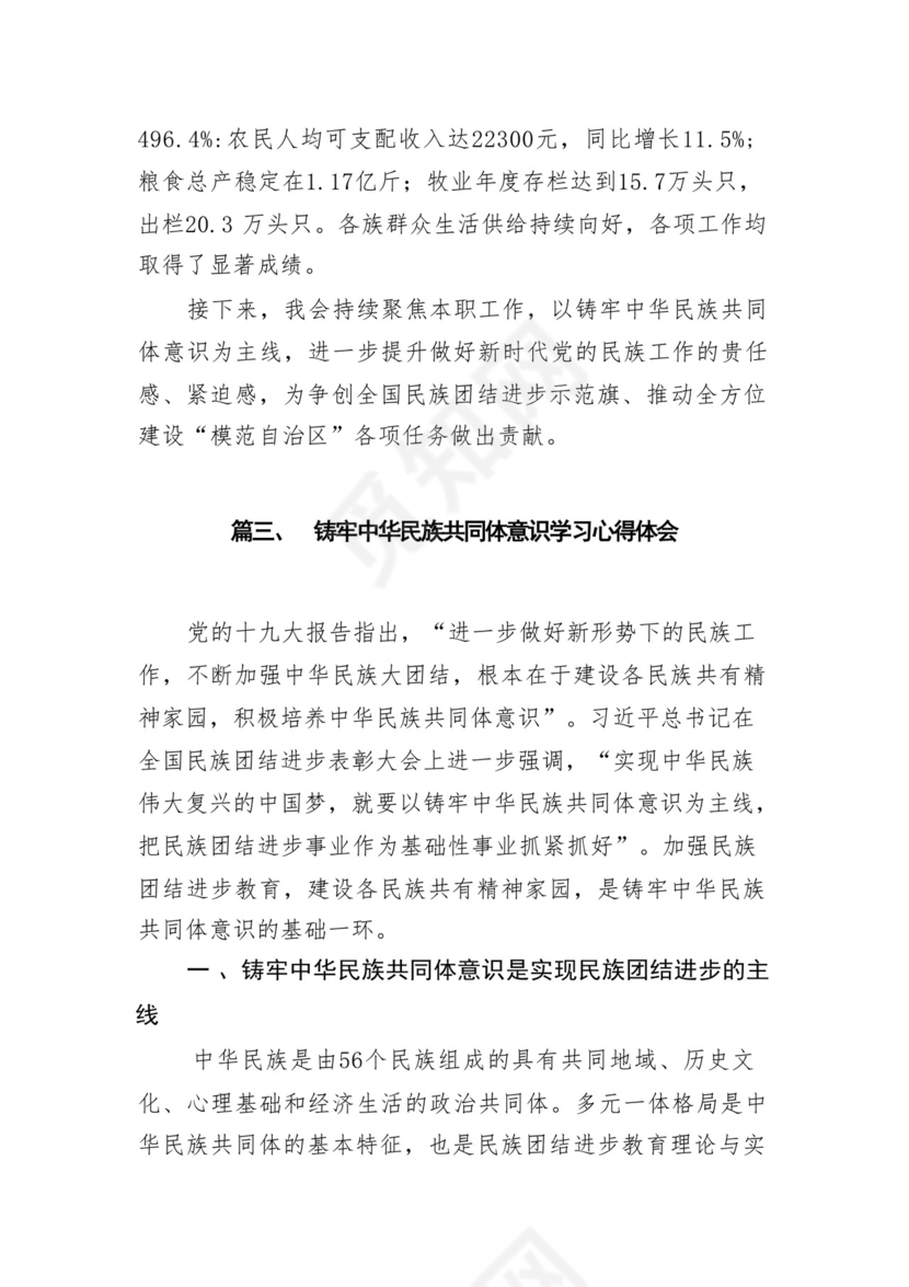 《铸牢中华民族共同体意识推进新时代党的民族工作高质量发展》学习心得研讨发言材料13篇（精选版）.docx
