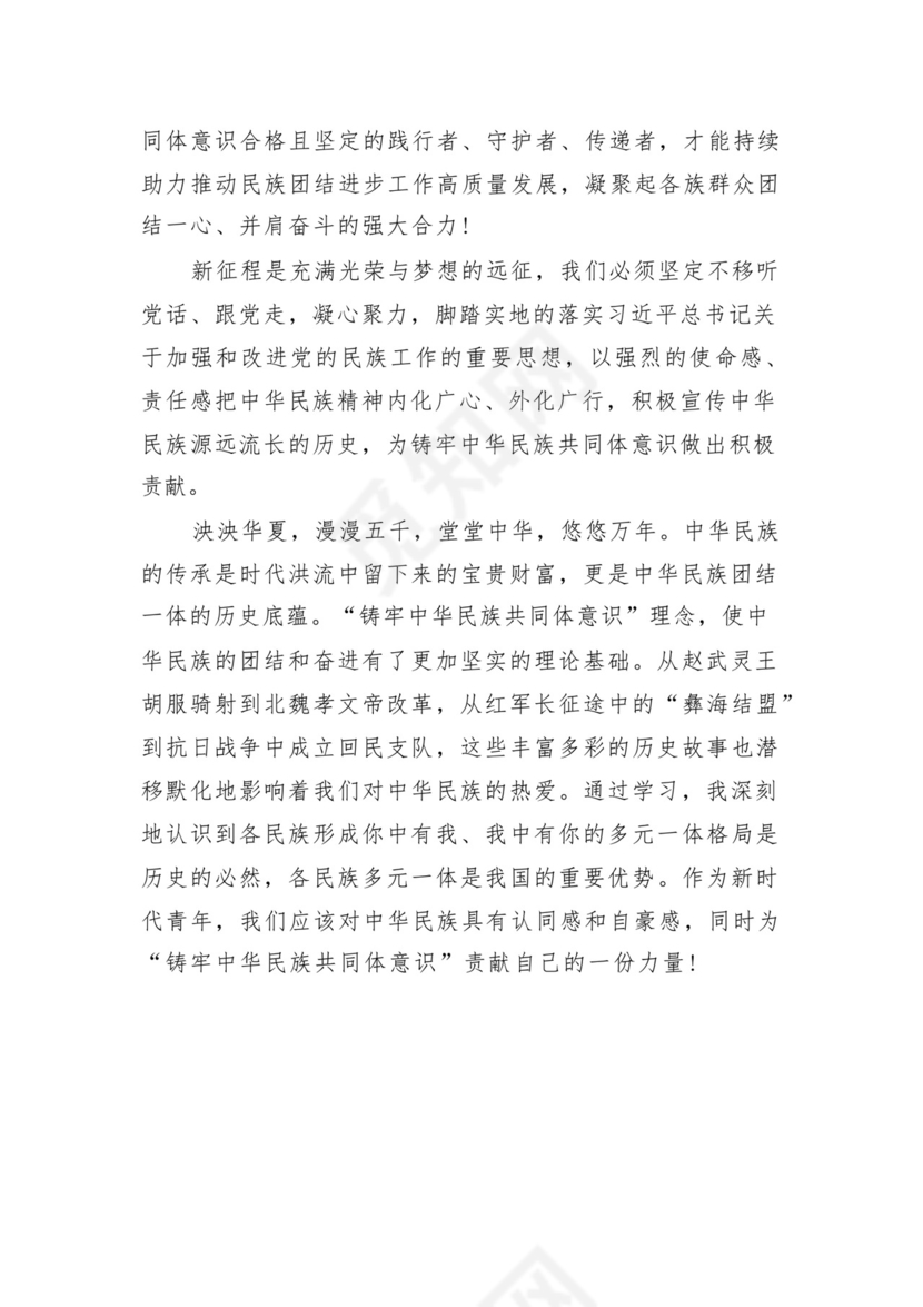 《铸牢中华民族共同体意识推进新时代党的民族工作高质量发展》学习心得研讨发言材料13篇（精选版）.docx