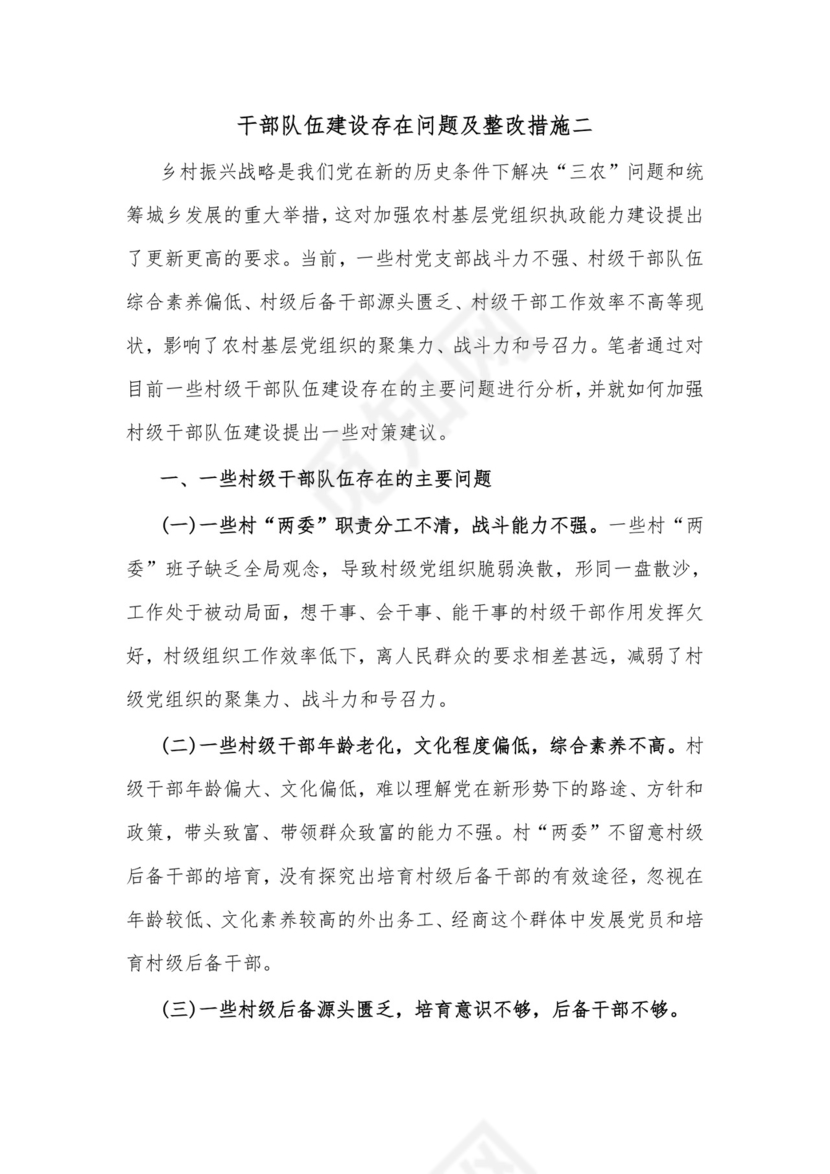(2篇)干部队伍建设存在的问题及整改措施材料.docx