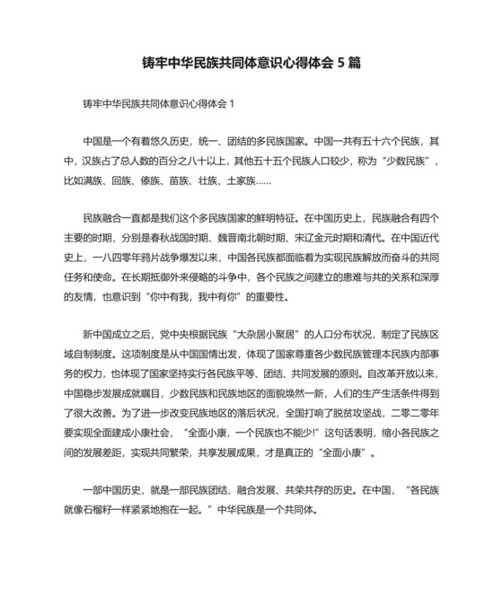 铸牢中华民族共同体意识心得体会5篇.doc