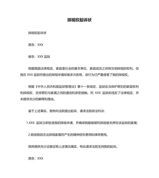 探视权起诉状精选.docx