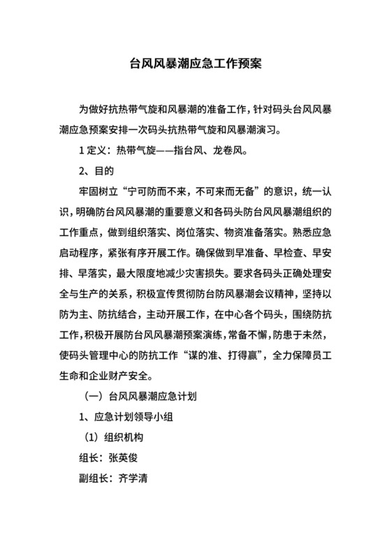 台风风暴潮应急工作预案.docx