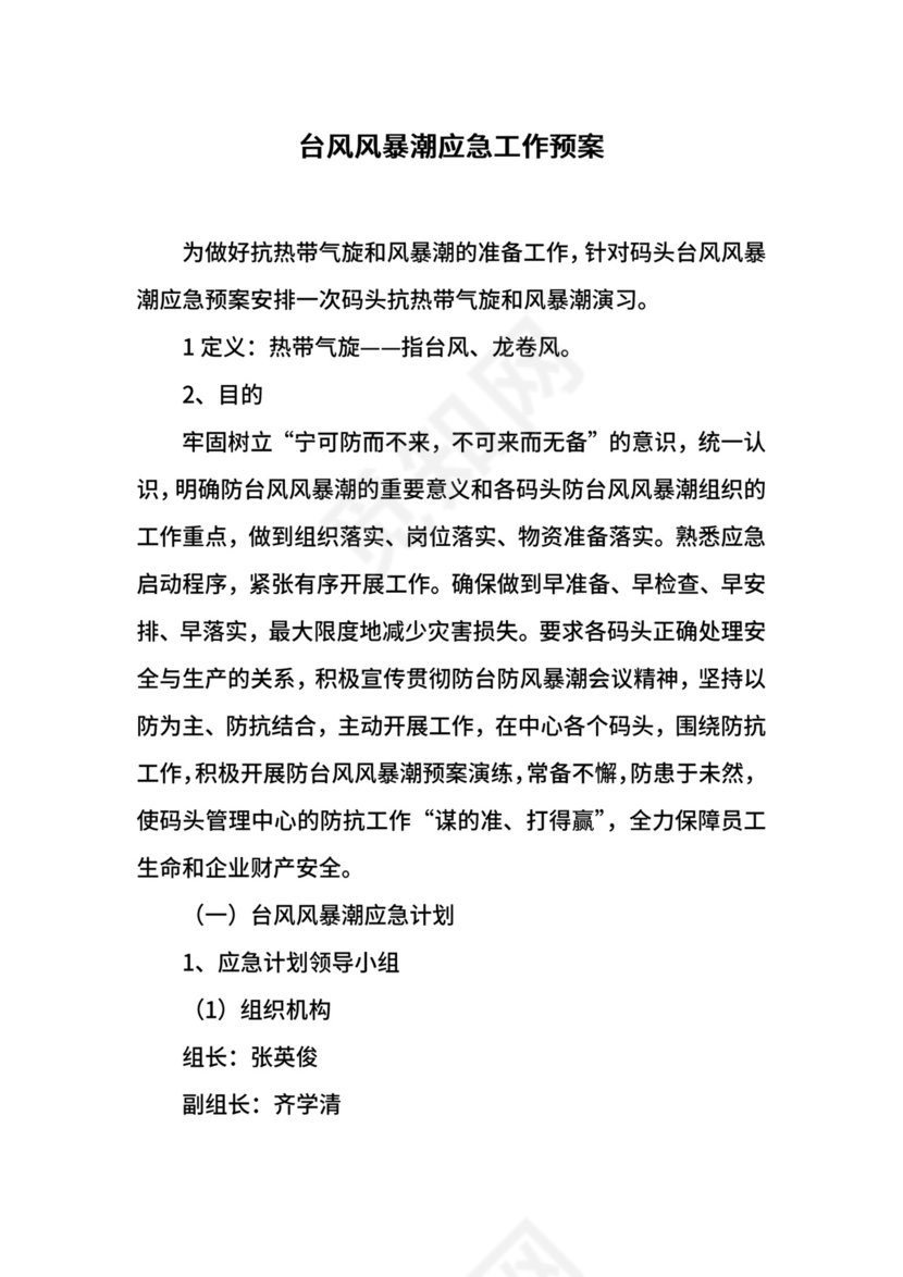 台风风暴潮应急工作预案.docx