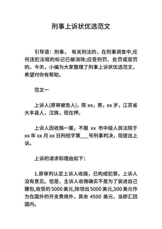 刑事上诉状优选范文.doc