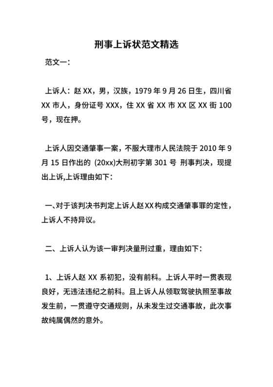 刑事上诉状范文精选.doc
